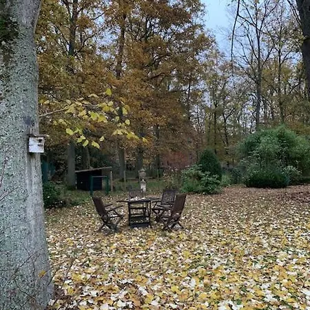 Maisonnette En Clairiere De Foret *