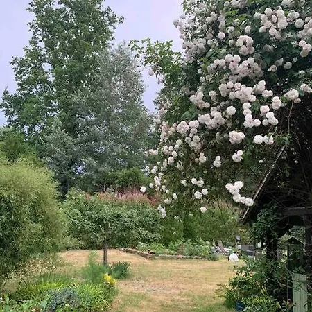 Maisonnette En Clairiere De Foret *