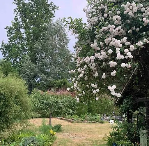 Maisonnette En Clairiere De Foret *